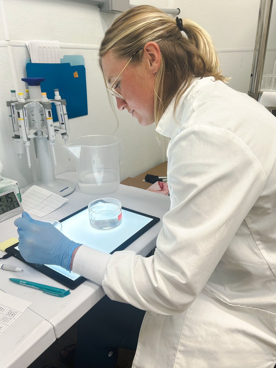 Nielsen Lab tweet media