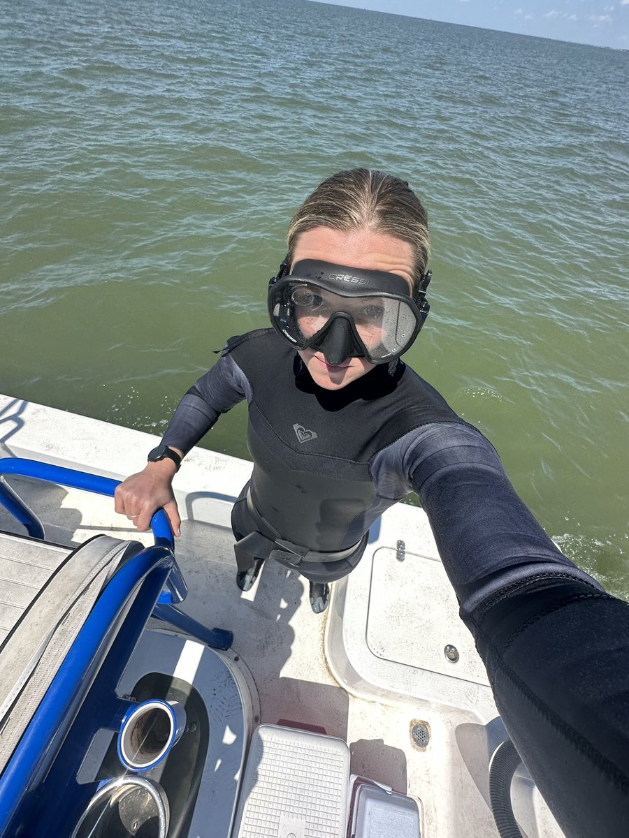 Nielsen Lab tweet media