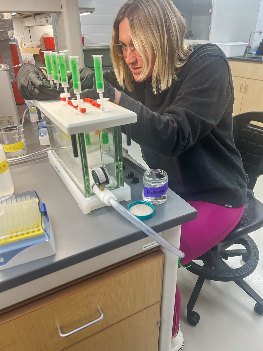 Nielsen Lab tweet media