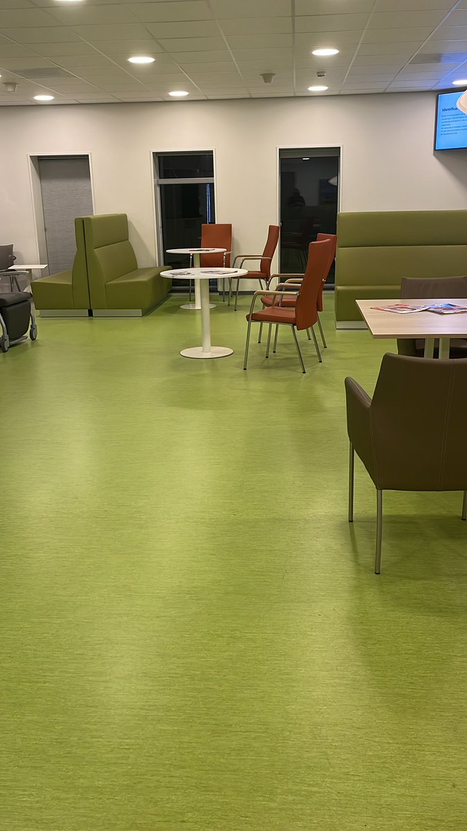 hillegonda dijkman tweet media