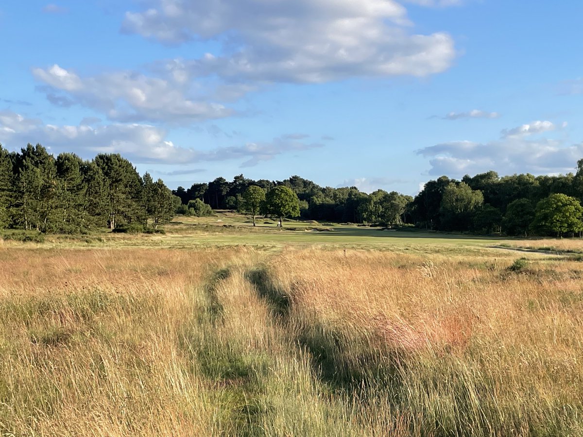 Patrick Brady tweet media