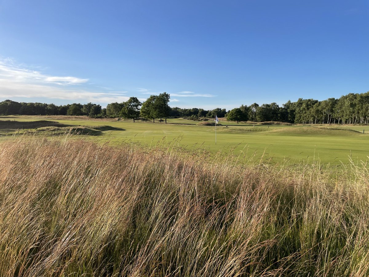 Patrick Brady tweet media