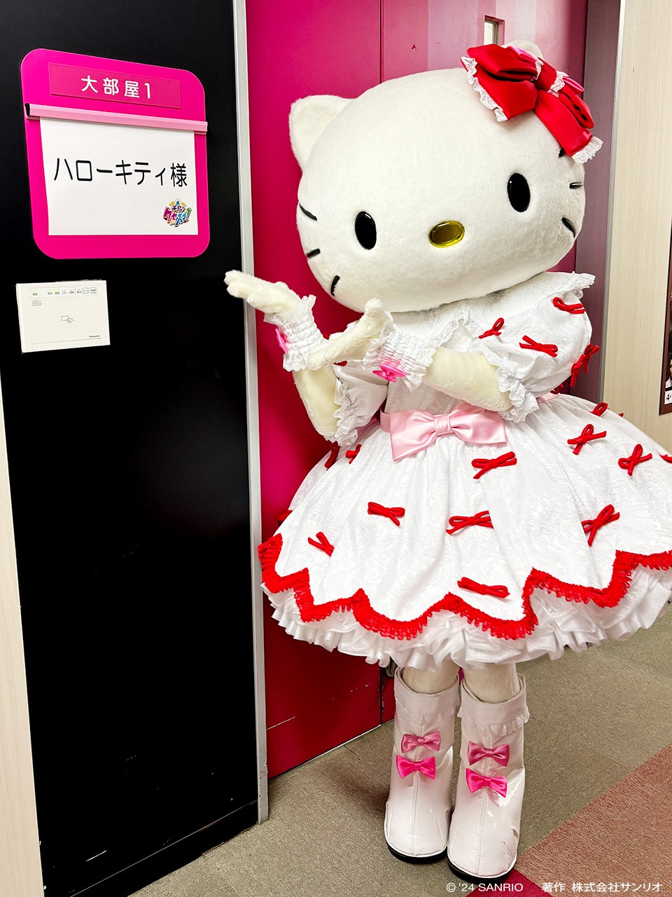 ⚠︎ ^^⚠︎ハローキティ 着ぐるみ 着ぐるみ」おしゃれまとめの人気アイデア｜Pinterest