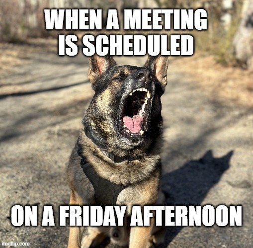 So much for getting out early...we've all been there, huh? Seems K9 Argos isn't taking it well though.

#fridayfunny #dogs #dog #workingdog #k9 #k9meme #dogmeme #weekend #k9team #k9training #dogtraining #germanshepherd #gsd #gsdoftheday