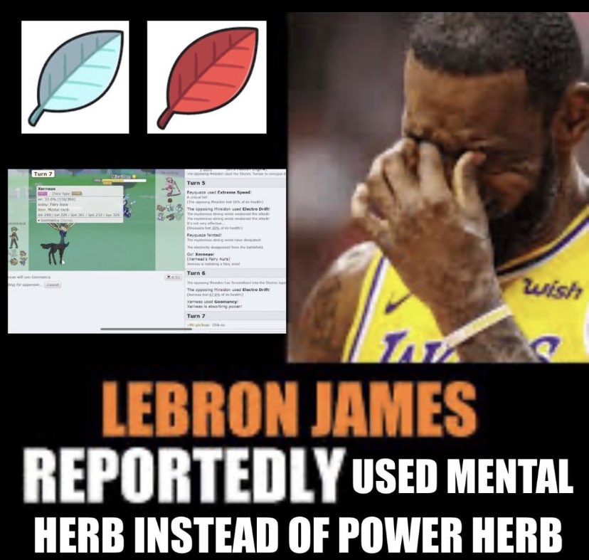 Day 196

No

(Meme by u/TheMinals)