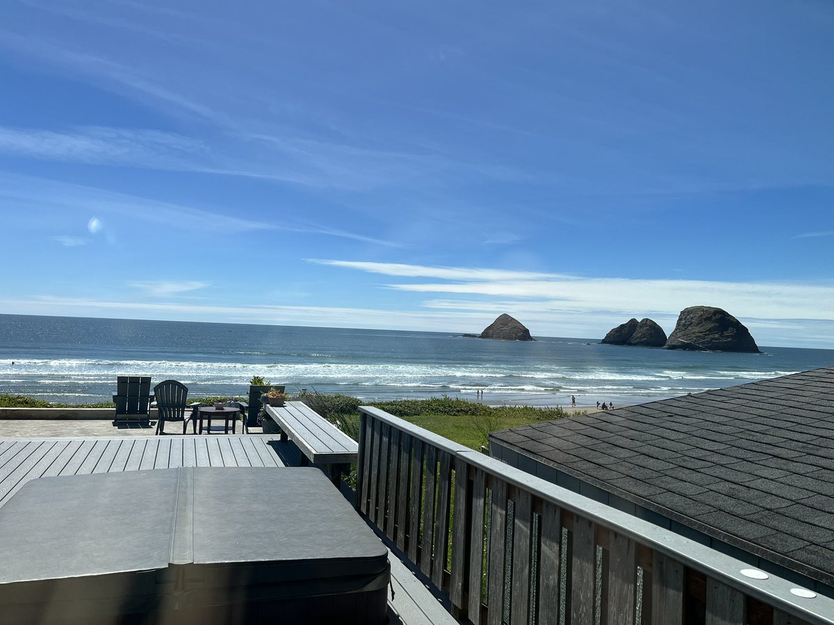 Rheum Cat tweet media