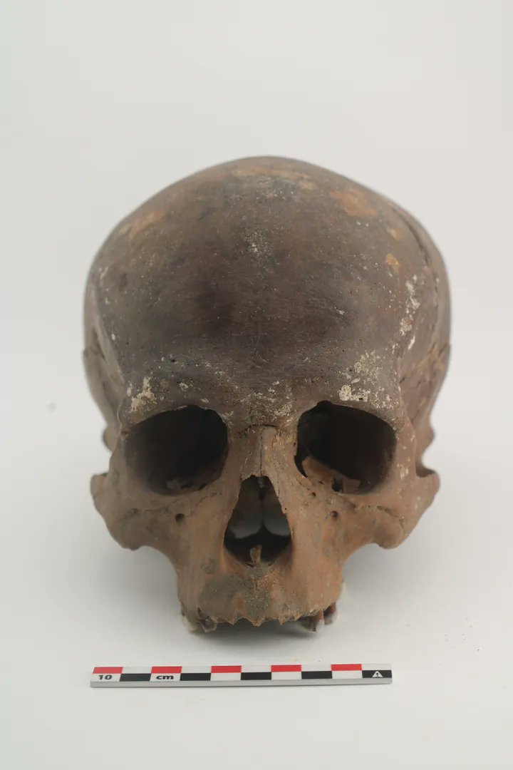 DeArcheoloog's tweet photo. Tussen #prehistorische vondsten die 20 jaar geleden in het Belgische #Ename zijn gevonden, blijken na nieuw onderzoek een minstens 6000 jaar oud deel van een menselijke schedel en een 4400 jaar oude complete #schedel van een man te zitten.(1) 
https://t.co/ilwKdEPqnV https://t.co/x4JzPQzyMA