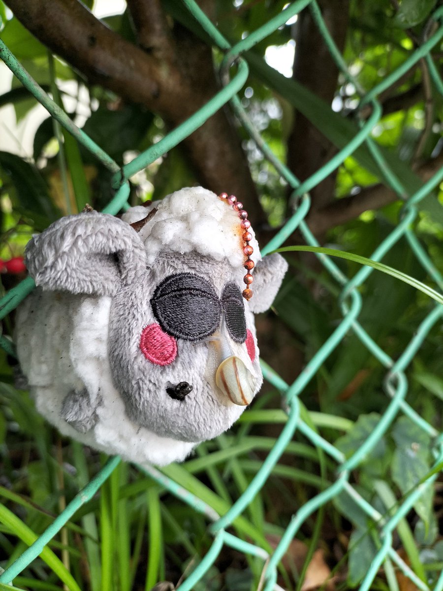 梅雨最中
金網から抜け出すこと叶わぬ羊に、カタツムリが救出活動？
📷近所にて(⁠^⁠～⁠^⁠;⁠)⁠ゞ