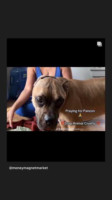 Panzon got kicked multiple times broke his hip by my husband ‼️‼️‼️and continued to get beat on Panzon<a href="/tag/narcissistic"class="tags"><span>#narcissistic</span></a><a href="/tag/narcissisticabuserecovery"class="tags"><span>#narcissisticabuserecovery</span></a><a href="/tag/prayforpanzon"class="tags"><span>#prayforpanzon</span></a>