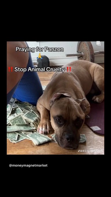 Panzon got kicked multiple times broke his hip by my husband ‼️‼️‼️and continued to get beat on Panzon<a href="/tag/narcissistic"class="tags"><span>#narcissistic</span></a><a href="/tag/narcissisticabuserecovery"class="tags"><span>#narcissisticabuserecovery</span></a><a href="/tag/prayforpanzon"class="tags"><span>#prayforpanzon</span></a>