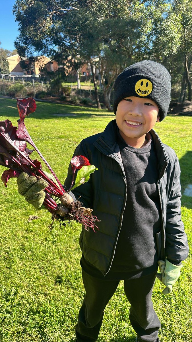 There has been excitement in our gardening club this week! Their first carrot was harvested, broccoli coming through and exploring the fun of natural beetroot lipstick.