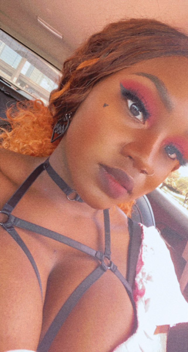 Fenrir 🐺 (Wolf Alexander) tweet media