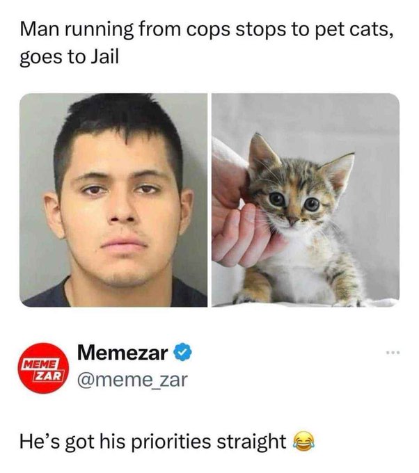 Would you stop running from the cops to pet meow? 🥹 https://t.co/JrZ7MTItn3
