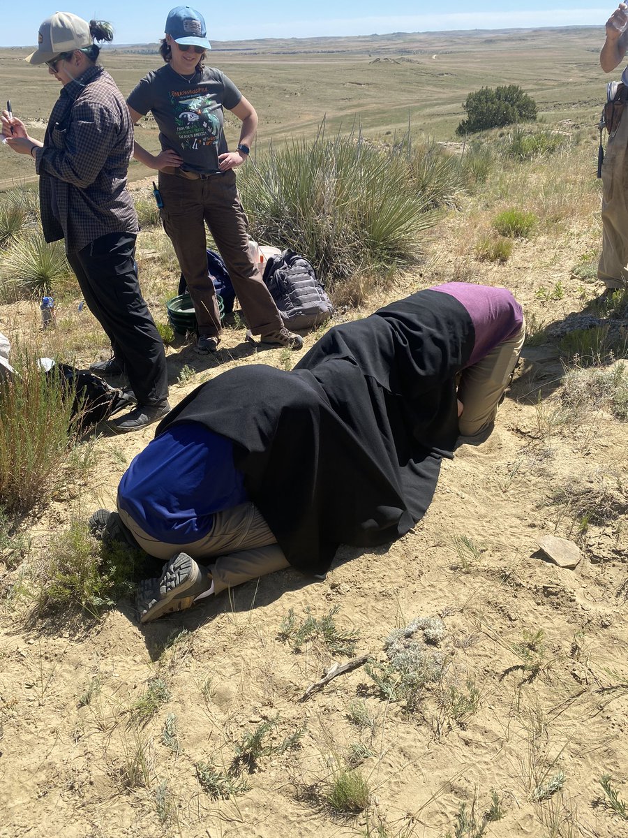 Megan Whitney tweet media