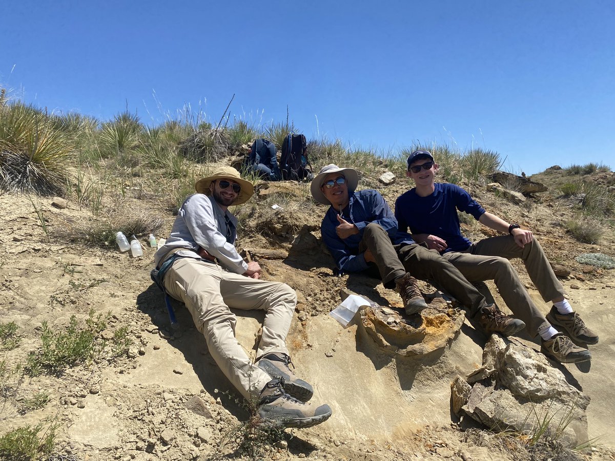 Megan Whitney tweet media