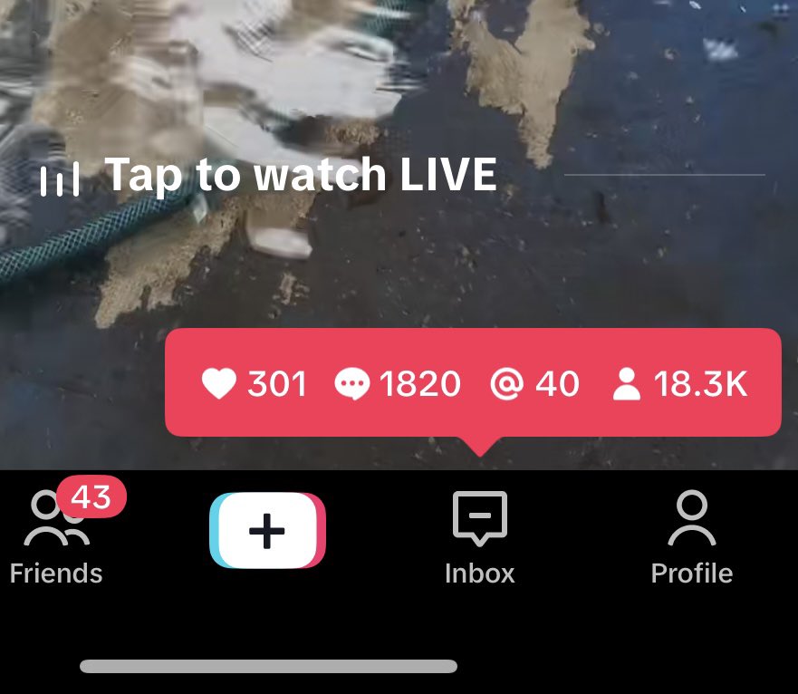 Gabe🏁 tweet media