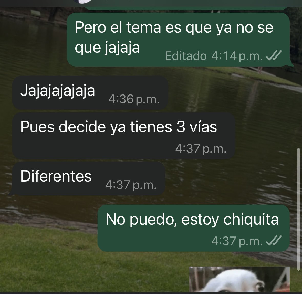 Adrihrdz's tweet photo. muchas oportunidades para trabajar y cero ganas de entrar a la vida adulta 🫠 https://t.co/Es88ceZT1s