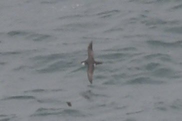 Stan Davis tweet media