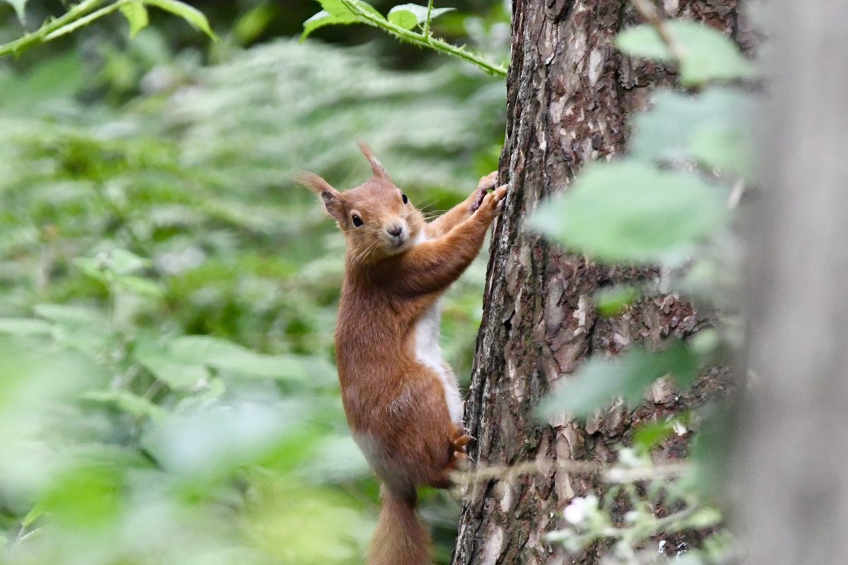 Stan Davis tweet media