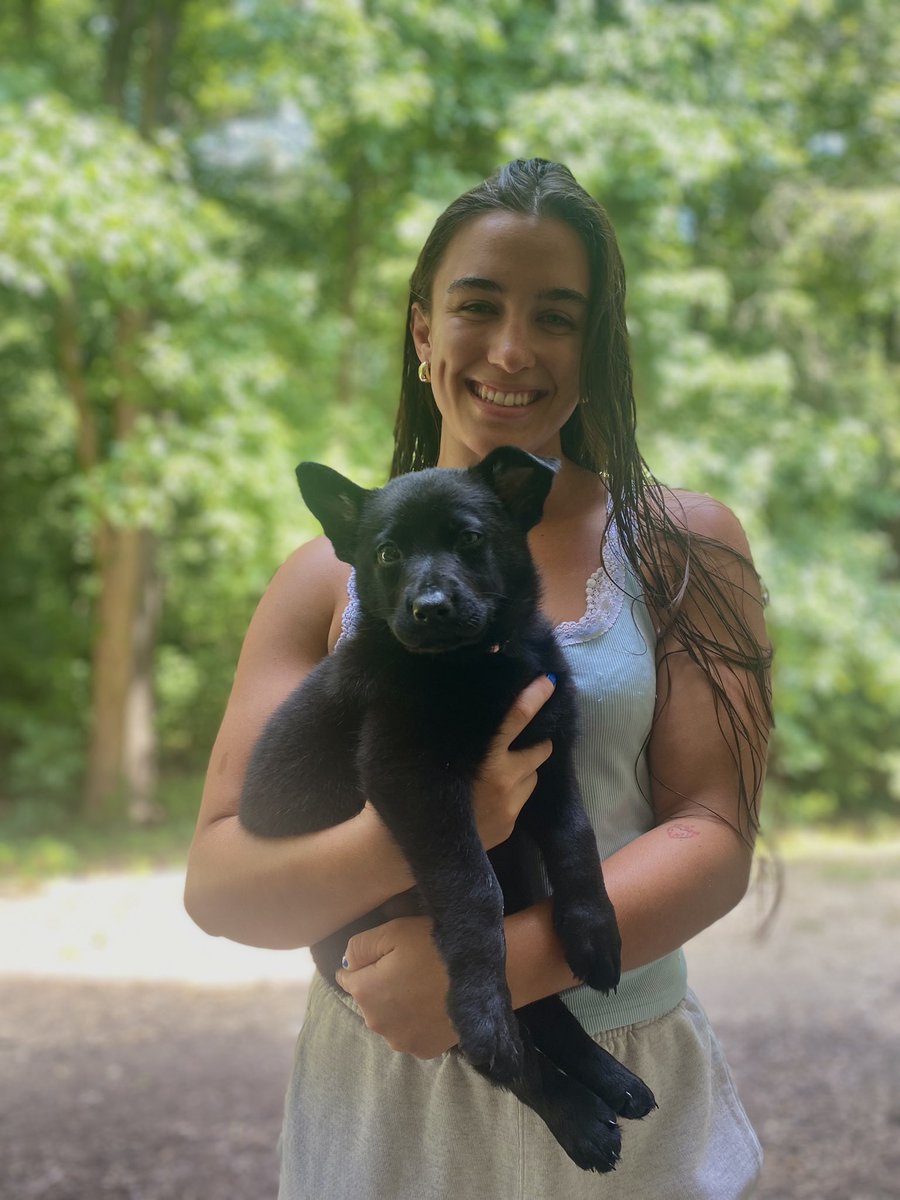 GannonLang's tweet photo. My Daughter: Ether (All Black German Shepherd) 🥰 https://t.co/D26Rh5mT6N