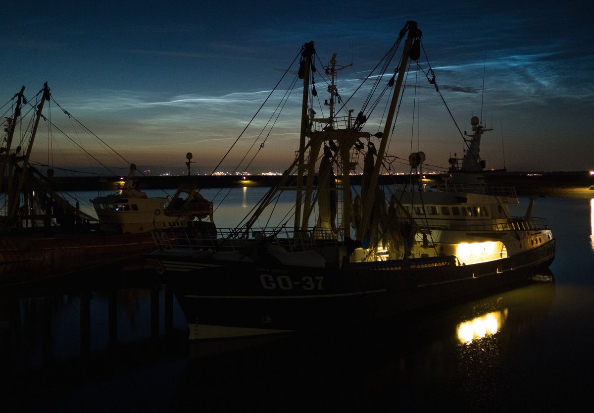 Fisherman's Friend🐟 tweet media