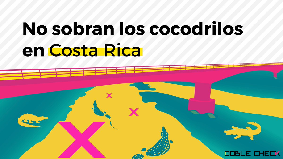 Es incorrecto afirmar que haya sobrepoblación de cocodrilos en Costa Rica o que la cacería esté completamente prohibida en el país, como dijo el canciller, Arnoldo André Tinoco: bit.ly/cocodriloCR