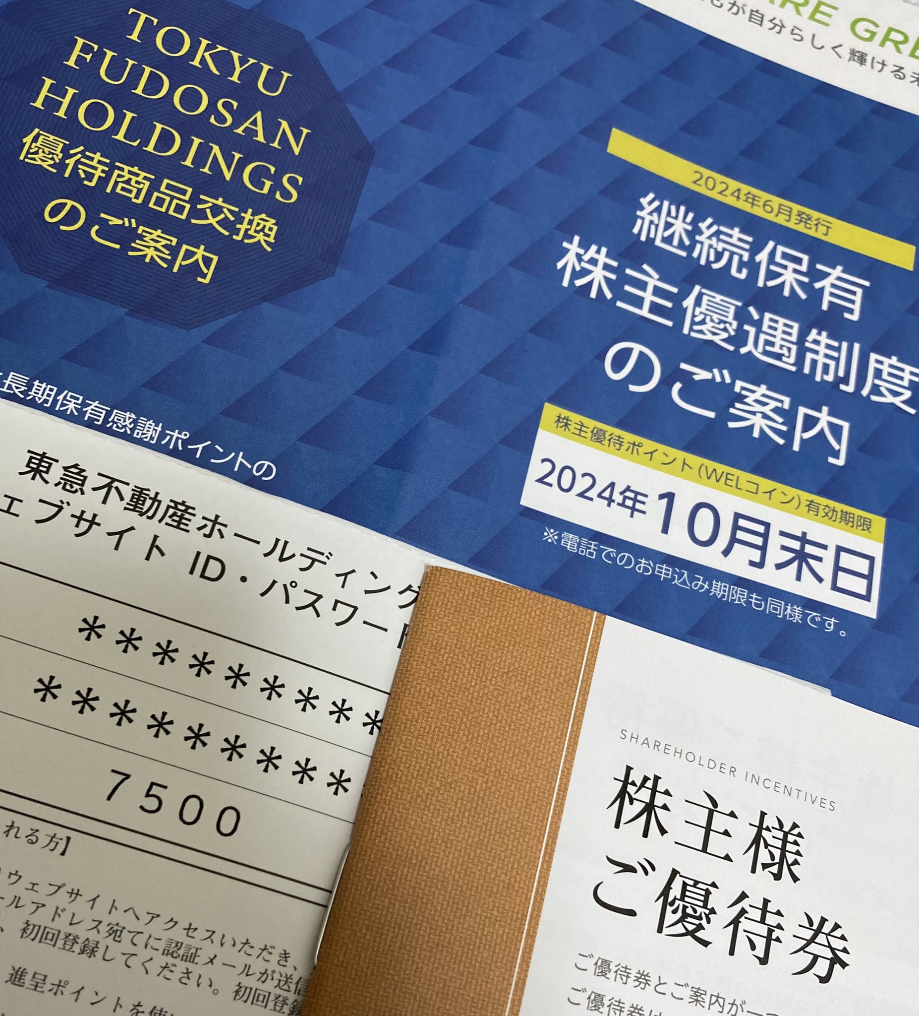 東急不動産ホールディングス 株主優待 5000株以上 45枚 東急不動産  