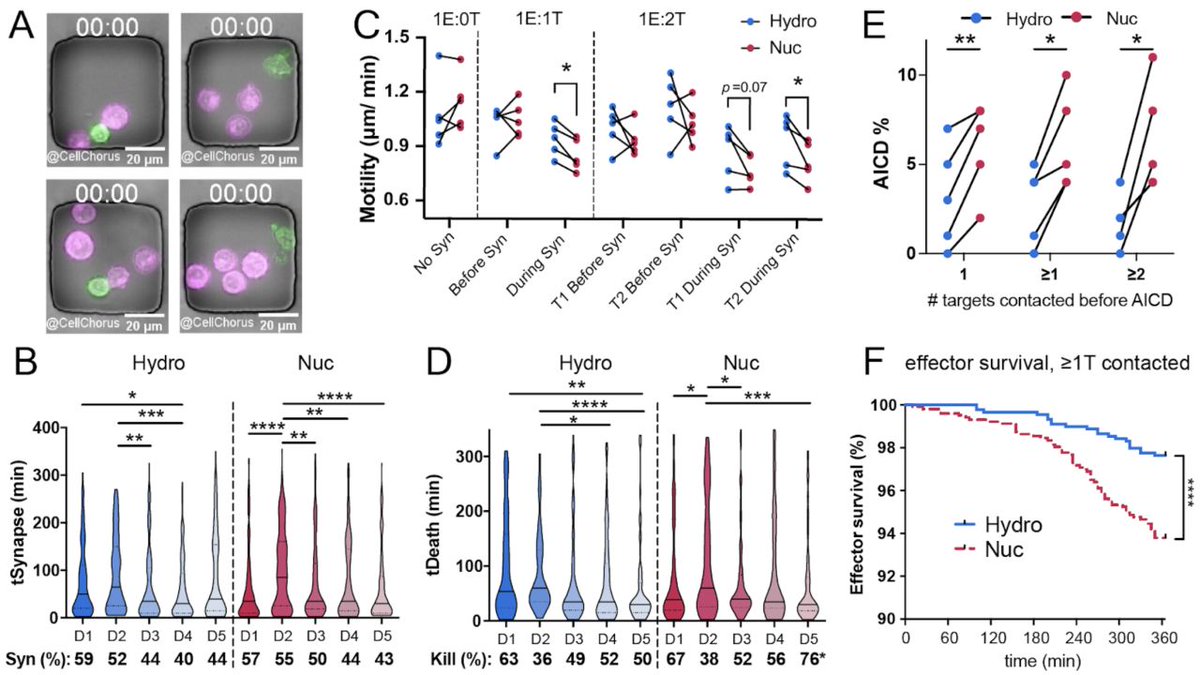 CellChorus (@cellchorus) on Twitter photo šØ @IndeeLabs posted a manuscript that applies TIMING⢠data from <a href="/CellChorus/">CellChorus</a> to show that CAR-T cells manufactured with the Indee platform have superior motility and resistance to activation-induced cell death (AICD).
biorxiv.org/content/10.110ā¦
<a href="/RBerdeaux/">Rebecca Berdeaux</a> <a href="/MohsenFathi1993/">Mohsen Fathi</a> šØ @IndeeLabs posted a manuscript that applies TIMING⢠data from <a href="/CellChorus/">CellChorus</a> to show that CAR-T cells manufactured with the Indee platform have superior motility and resistance to activation-induced cell death (AICD).
biorxiv.org/content/10.110ā¦
<a href="/RBerdeaux/">Rebecca Berdeaux</a> <a href="/MohsenFathi1993/">Mohsen Fathi</a>