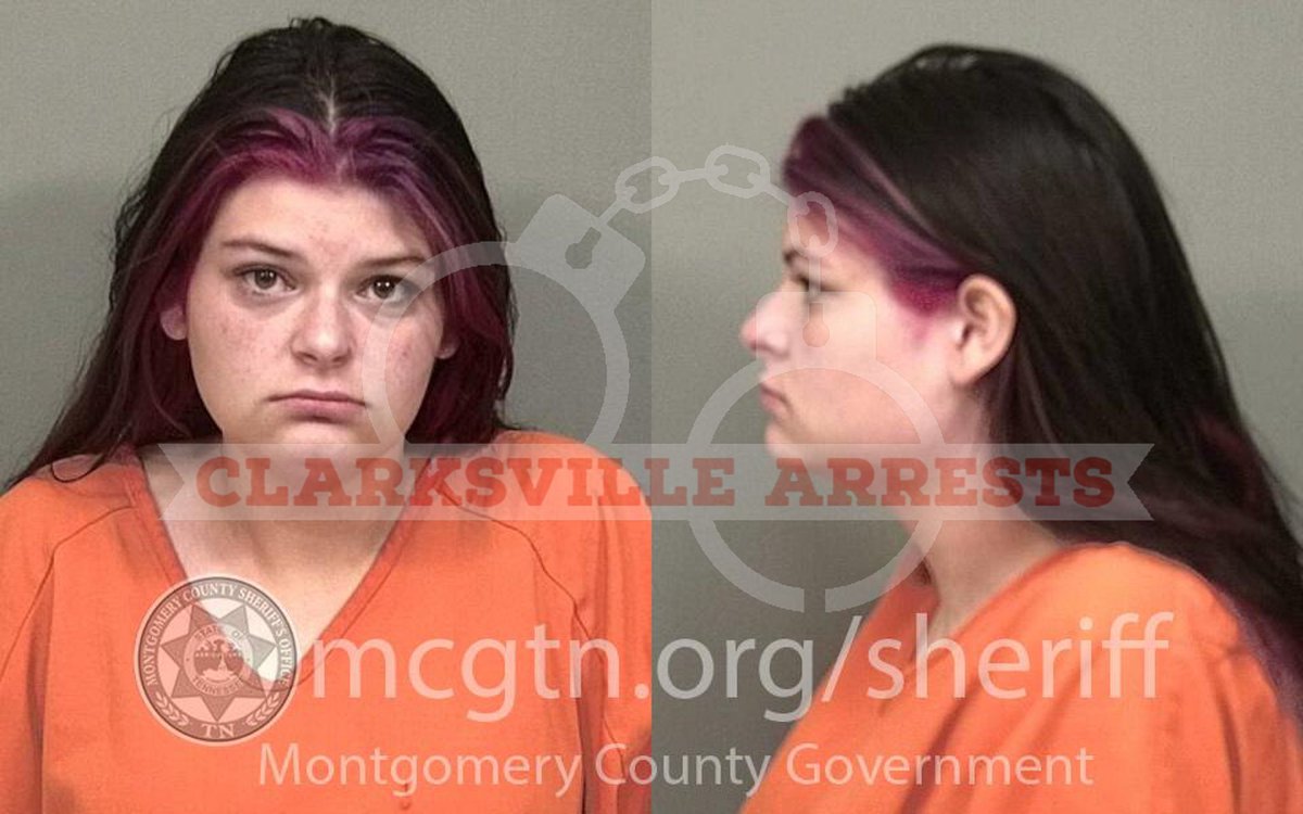 MoCoArrests's tweet image. Maegan Rayne Outland was booked into the #MontgomeryCounty Jail on 06/15, charged with #DUI #OpenContainer #DueCare. Bond was set at $4,000. #ClarksvilleArrests #ClarksvilleToday #VisitClarksvilleTN #ClarksvilleTN