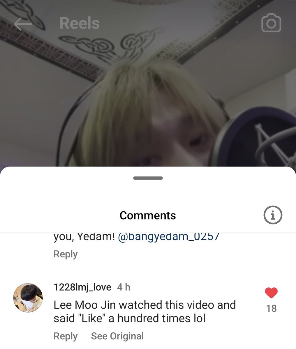 pearl 🦊🕶 tweet media