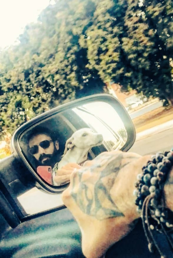 Bruno Felippe ☭🐶🏴 tweet media