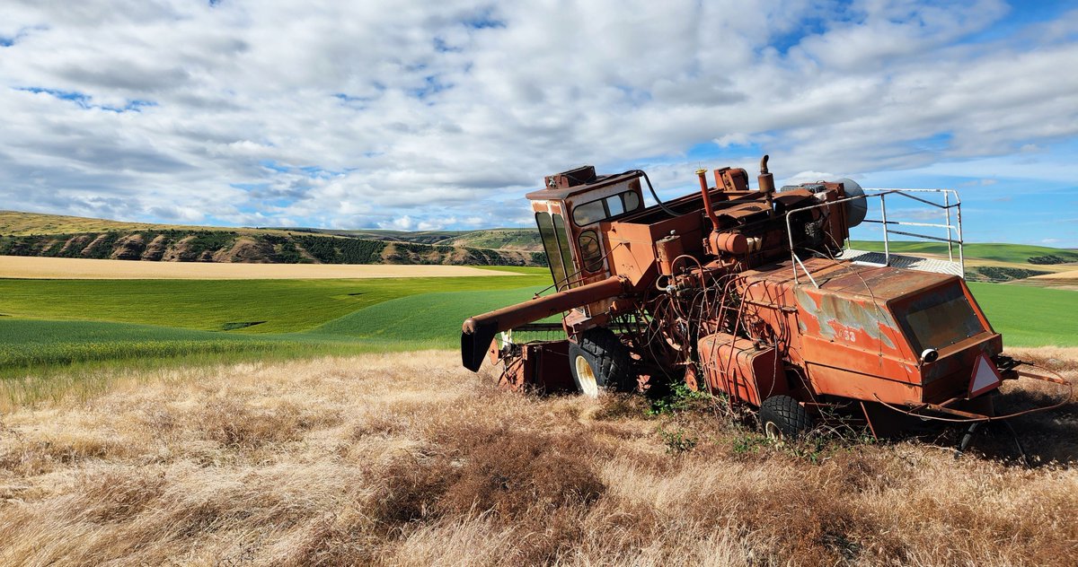 Mainstem Malt tweet media