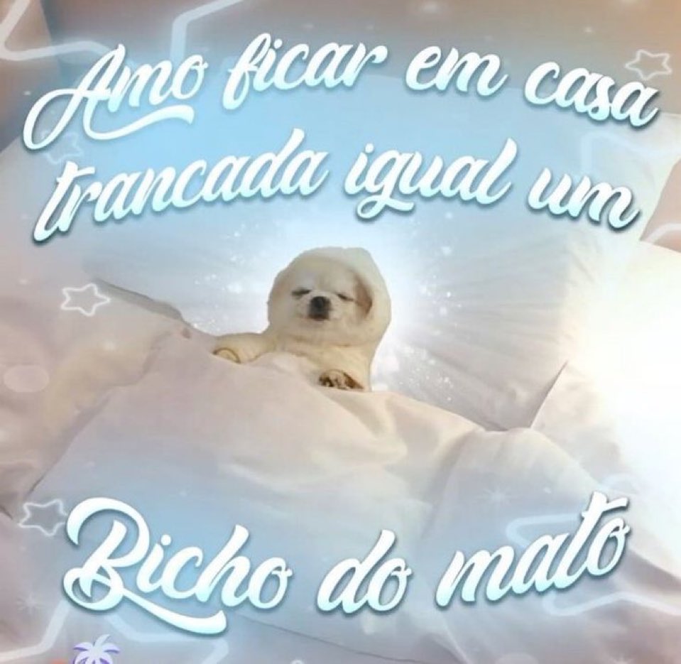 sextou