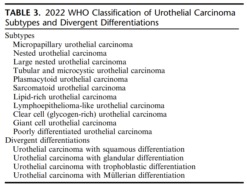 #GUpath TURBT:
urothelial carcinoma with trophoblastic differentiation

(paired #IHCpath is HCG)