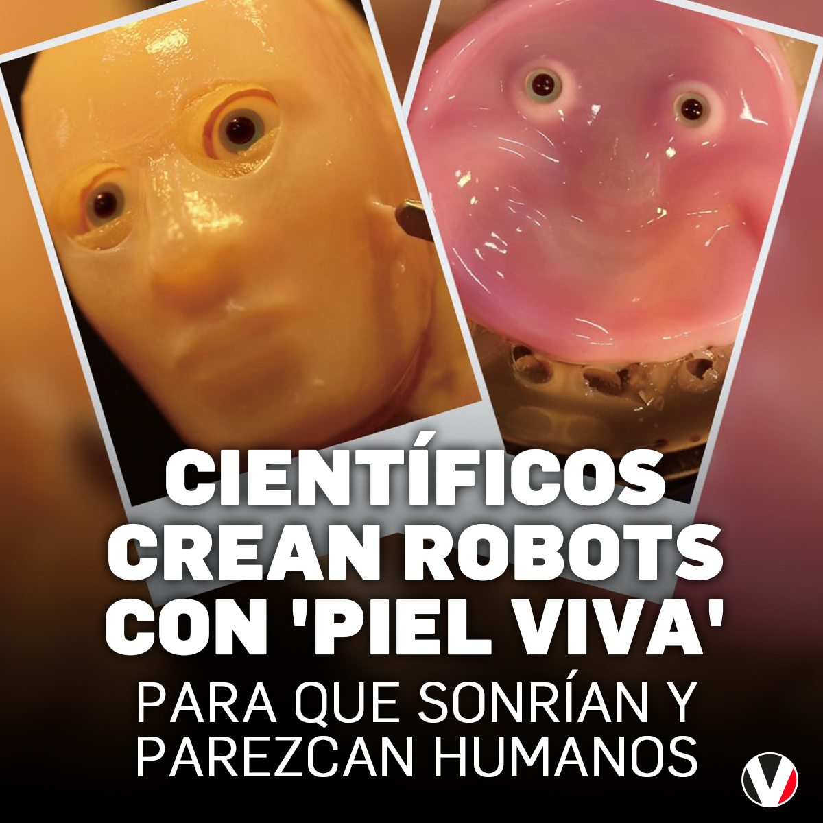 revistavistazo's tweet photo. #Intrigante | Japón tiene la clave para la próxima evolución de los robots: envolverlos con piel humana. Quieren que tengan funcionalidades biológicas y expresividad. ▶️ https://t.co/n1UUKOdvJa https://t.co/maGGj5FsOR