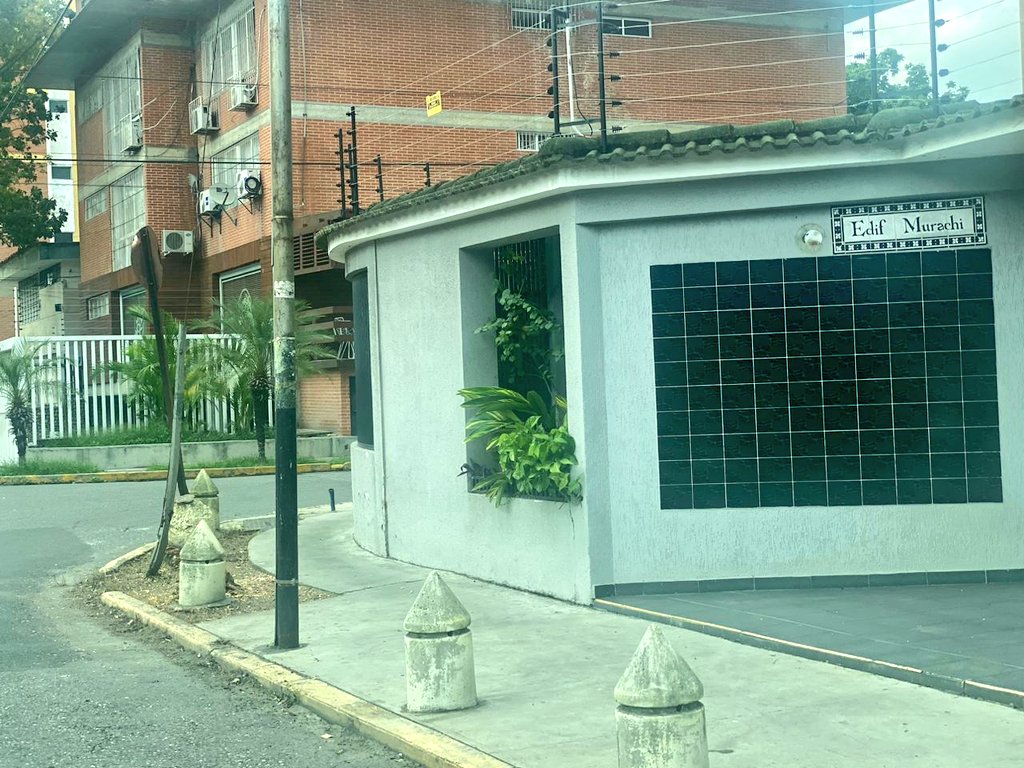 sembramostodos's tweet photo. Continúan en #Maracay las celebraciones del #DiaMundialdelArbol, por este motivo vecinos de la Urb La Soledad, EDF Murachi, talaron varios árboles en su acera.
Gracias por ser un excelente ejemplo de lo que NO DEBE SER.
@AlcDeGirardot Favor verificar permisos.
#Talaton https://t.co/A6t7ykV0PG