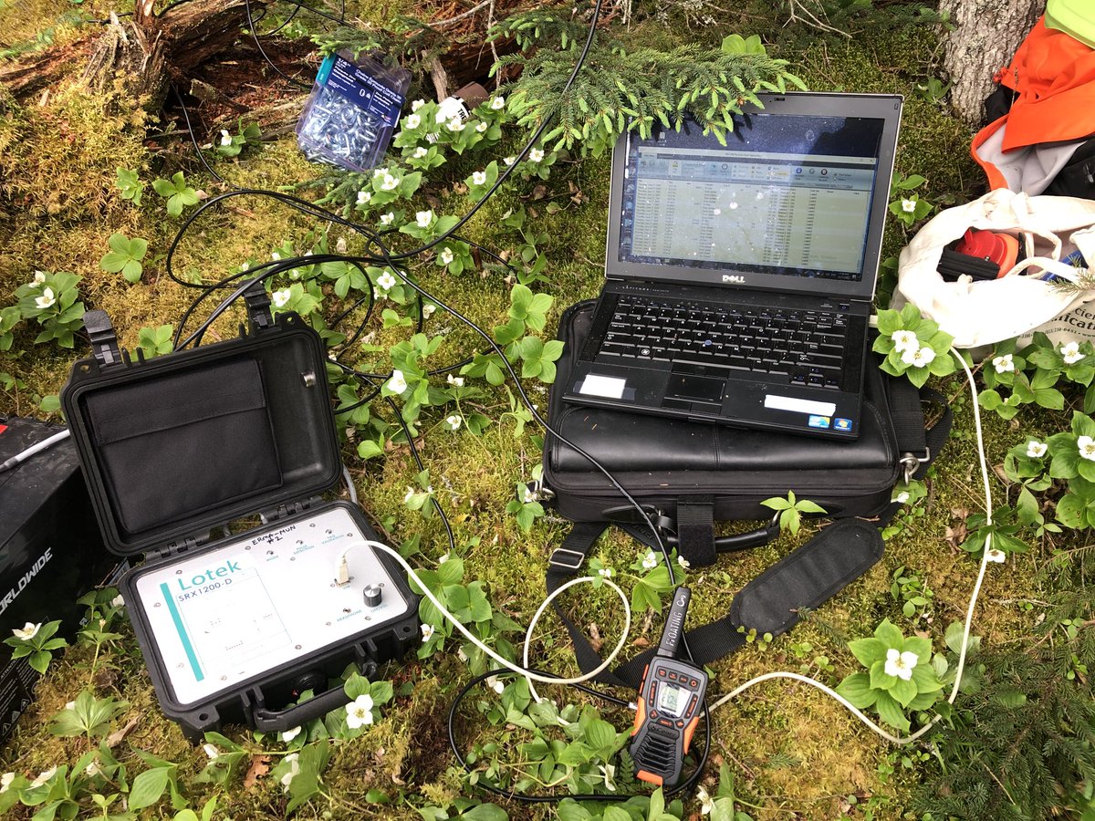 Craig Purchase tweet media