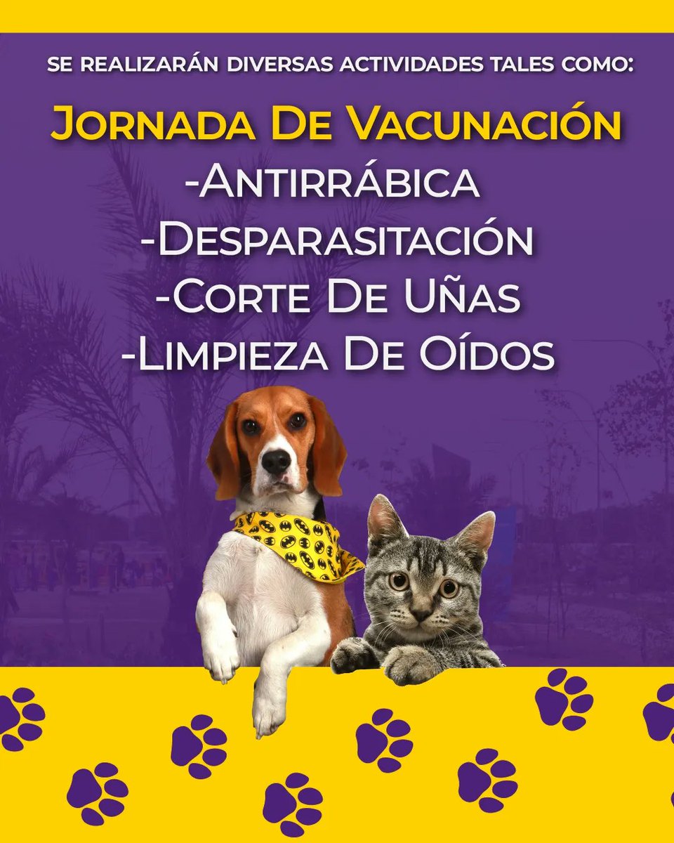 PAnaMariaCampos's tweet photo. Este sábado 29 de junio celebraremos el Día Monumental del Animal de Compañía 🐶 con una Jornada de vacunación y actividades recreativas en en la Cancha de Usos Múltiples del Parque Monumental Ana María Campos 🌳

Te esperamos 😉 

#animales #Maracaibo #Zulia https://t.co/vTd7Gls2lP