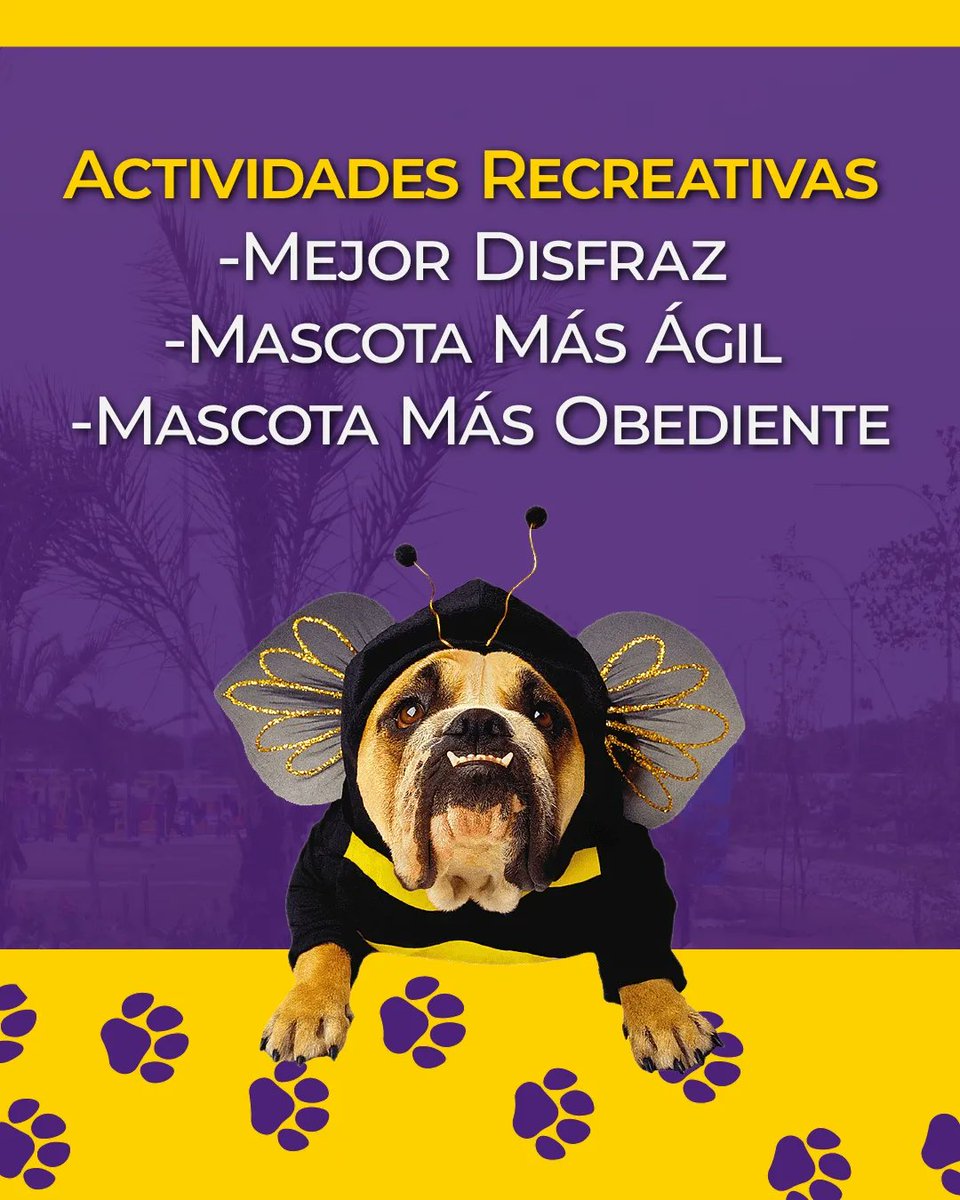 Este sábado 29 de junio celebraremos el Día Monumental del Animal de Compañía 🐶 con una Jornada de vacunación y actividades recreativas en en la Cancha de Usos Múltiples del Parque Monumental Ana María Campos 🌳

Te esperamos 😉 

#animales #Maracaibo #Zulia
