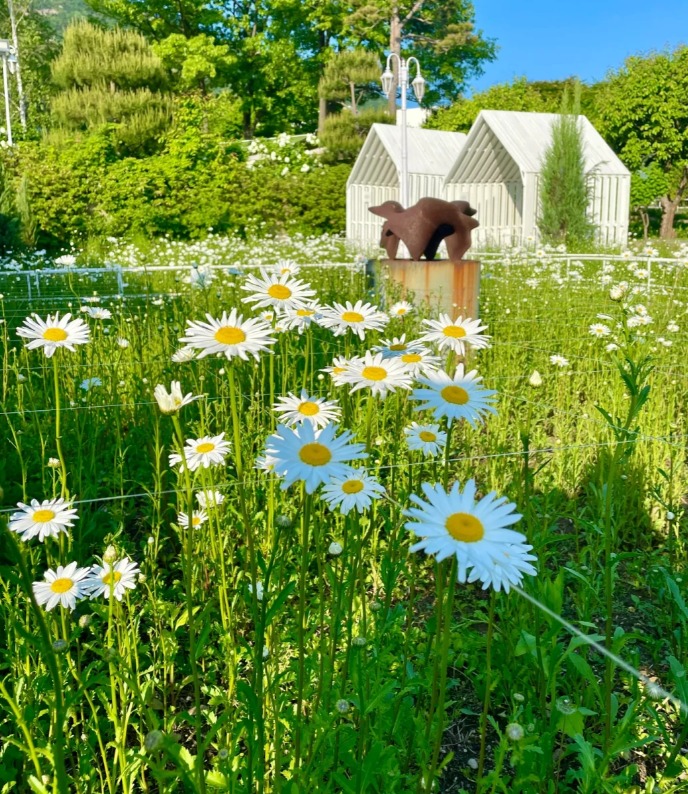 gymnogenous airspace
Keep moving forward and don't be afraid of difficulties, because persistence will lead to success.