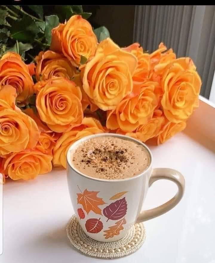 afffty's tweet photo. أرقى أنواع الأناقة، 
        أن تكون نظيف القلب ، 
                    ناصع الفكر، 
                      طيب الأخلاق، 
                          جميل المشاعر، 
تسعد الناس، وتمضي بكل حب. 
كلام جميل له معنى كبير
البساطة هي الصفة التي لا وصف لها
فقط ليرتاح لها الخاطر ويسر لها القلب https://t.co/ZyVFgrWXje