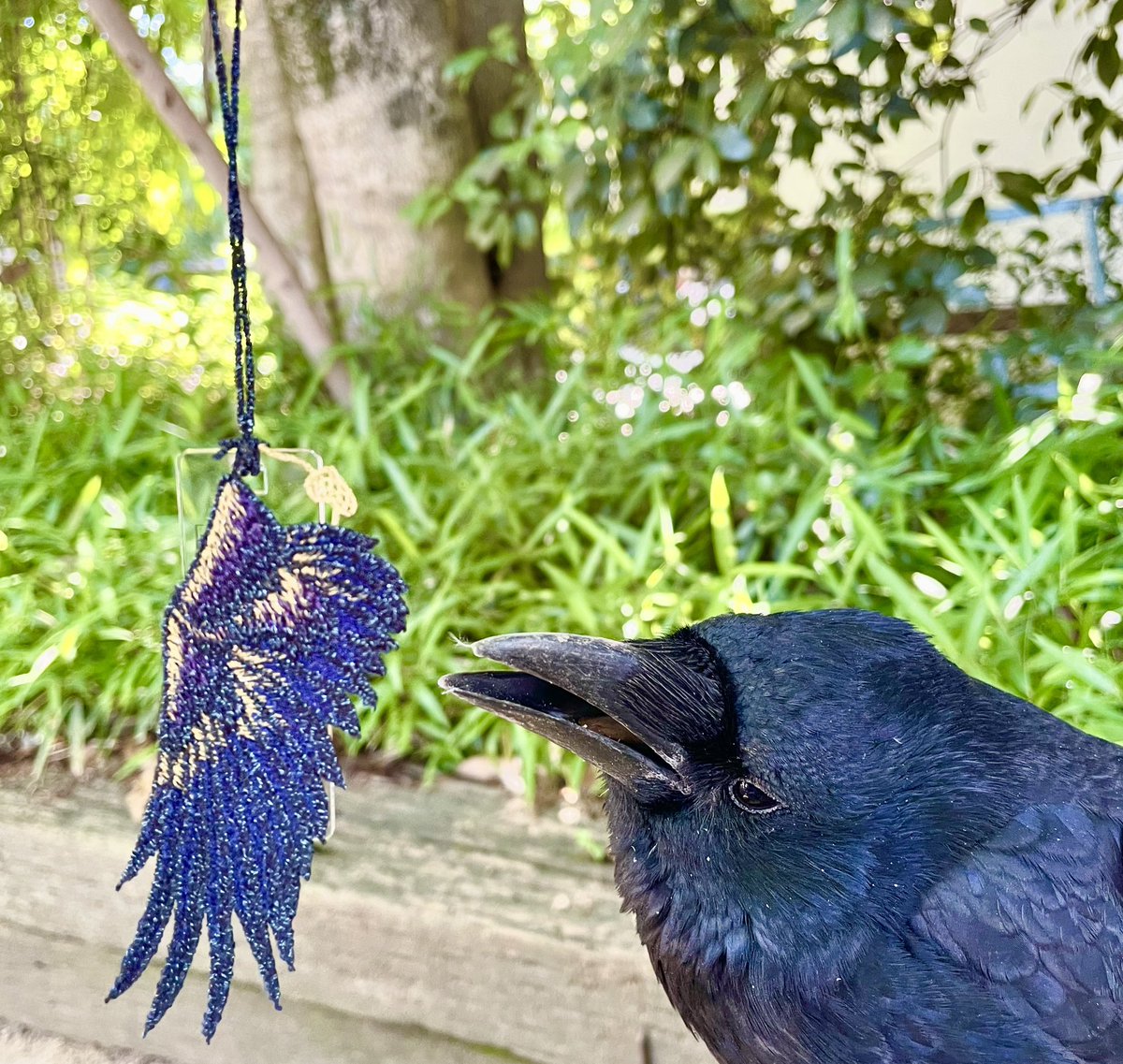 下鴨神社では、7月1日より新しい御祈祷所が完成致します。 それに伴い