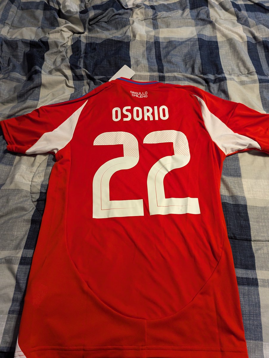 YA LLEGÓ MI CAMISETA DE DARÍO OSORIO!, image size:904x1200