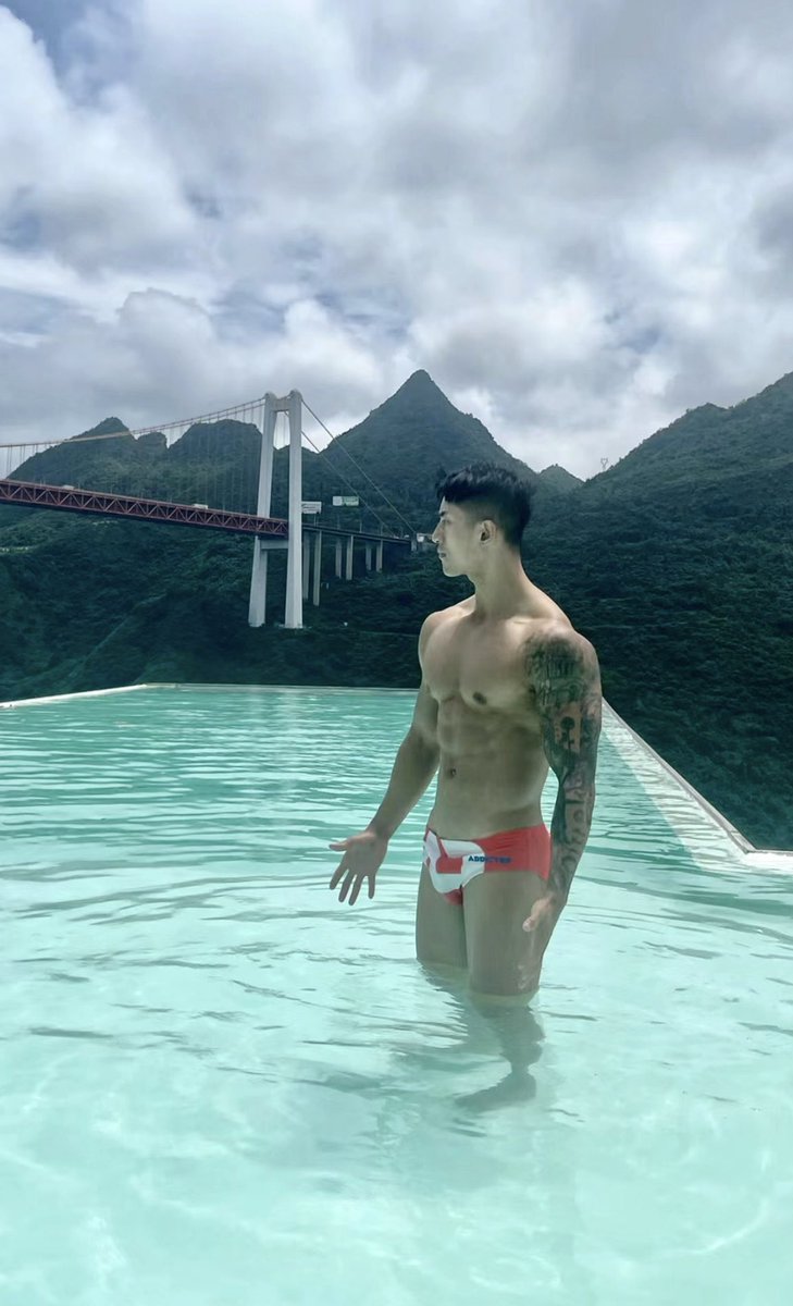 FOREST ALBUM 🏳️‍🌈 tweet media