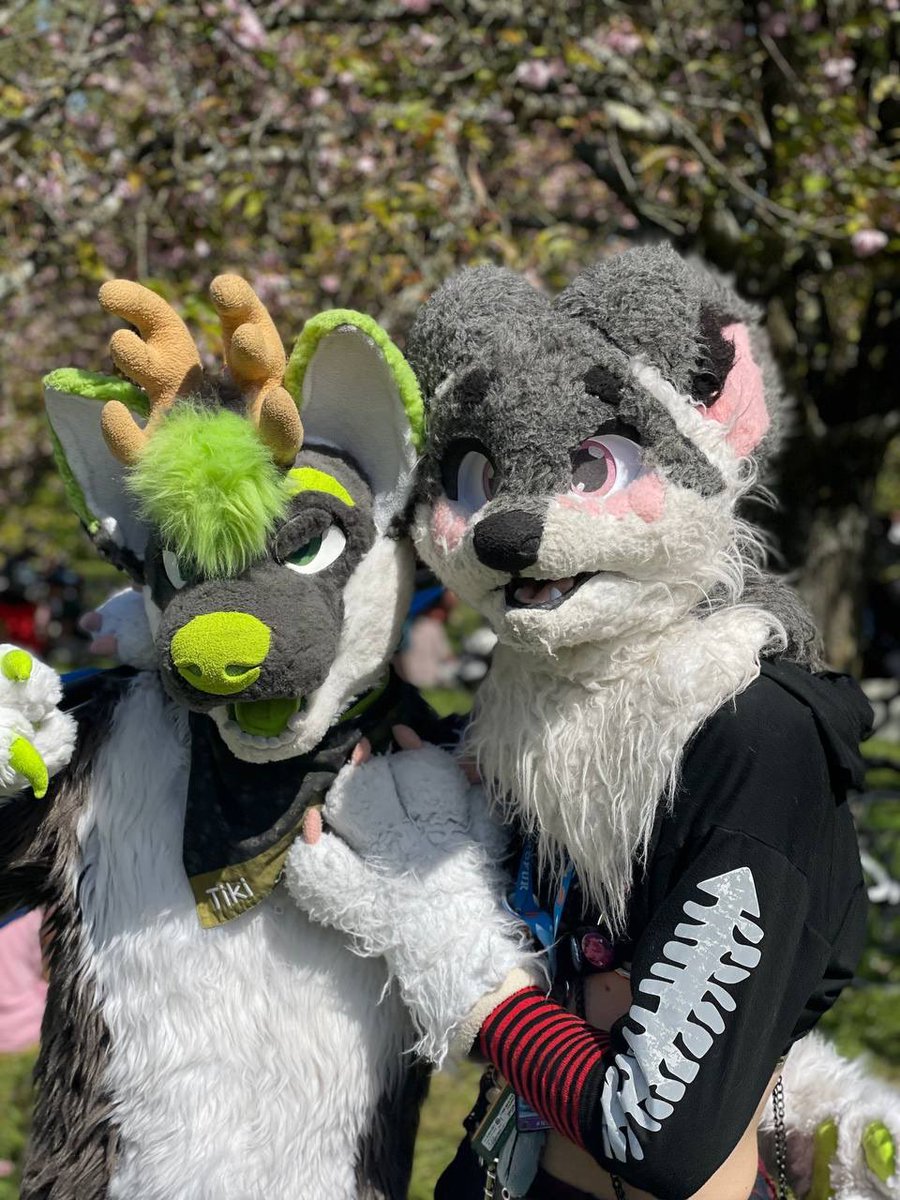 C’est pour prévenir que la dispute avec moi est Tiki Terminer maintenant en s’entend très très bien donc je demanderai aux gens qui créent des rumeurs à propos de Tiki sont nom fondé
Mon avis personnel il pourrait revenir au furBar  voici une preuve. Que entre nous c’est arrangé.