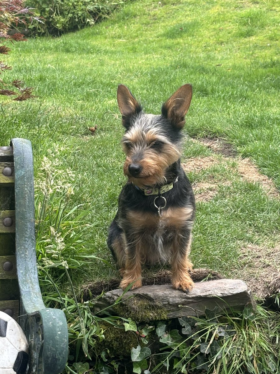 RubyRubes tweet media