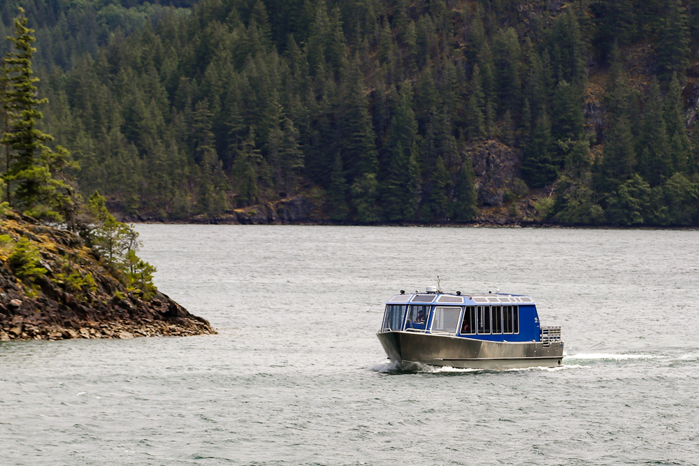 Skagit Tours tweet media