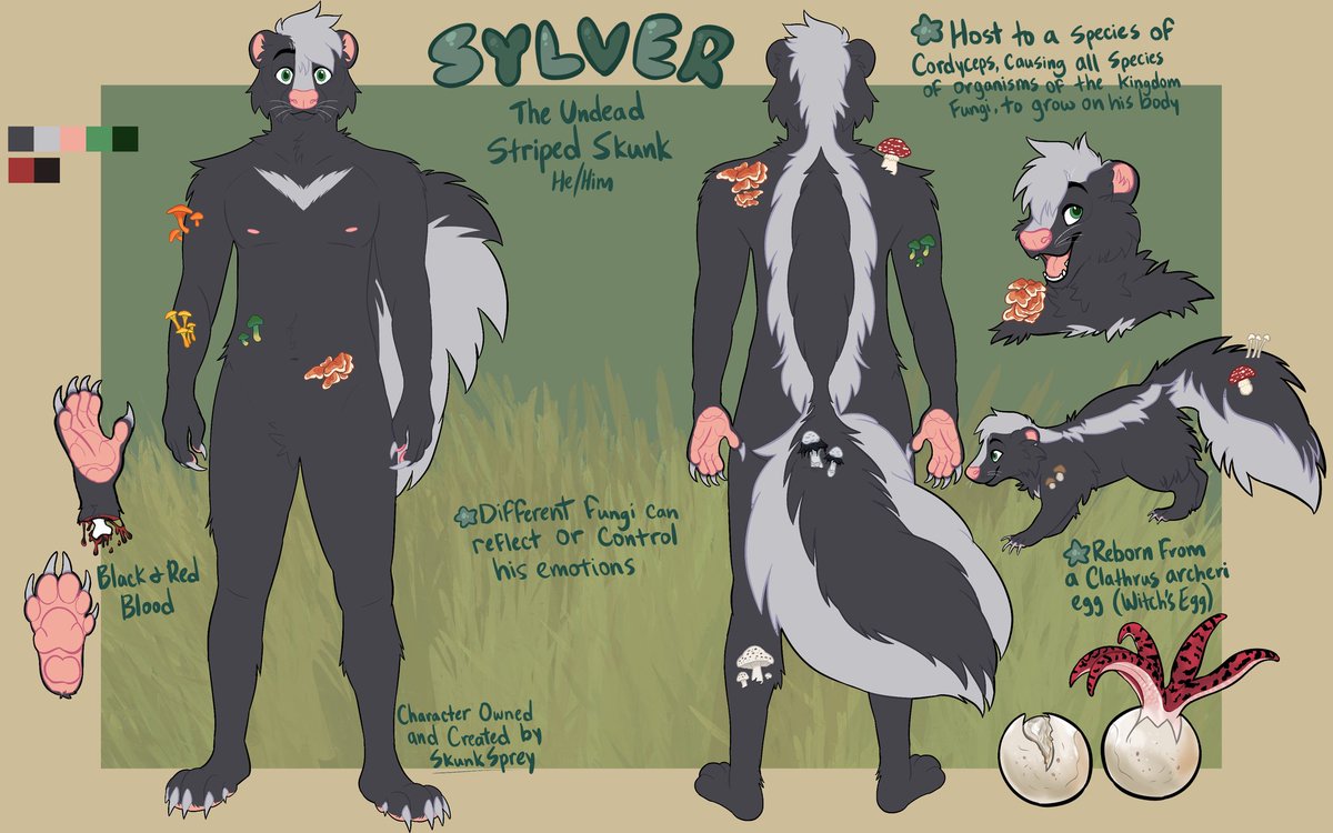 Sylver🦨 tweet media
