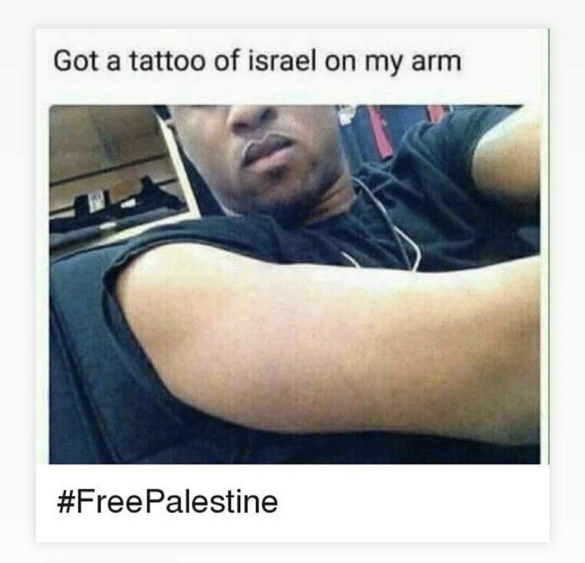 Robert Martin 🇵🇸 tweet media