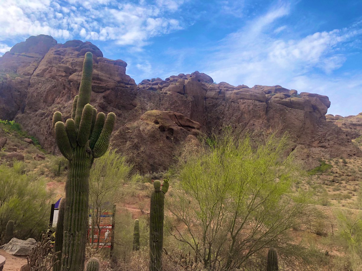 Howie01353073's tweet image. Camelback Mountain 
#Camelback #mountain #Arizona #Phoenix #hiking #cacti #desert